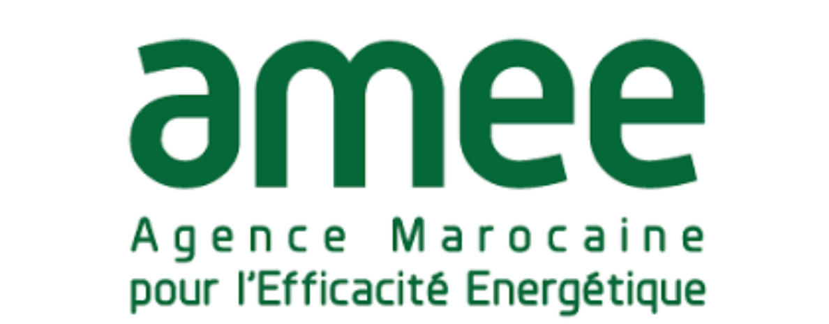 AMEE-1